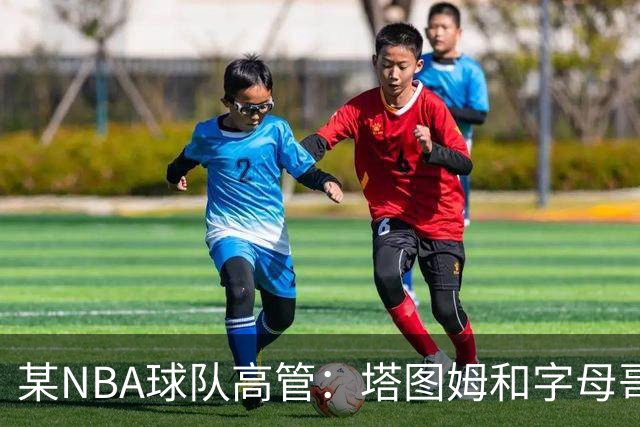 某NBA球队高管：塔图姆和字母哥的上限极高 但是球队会缺乏深度