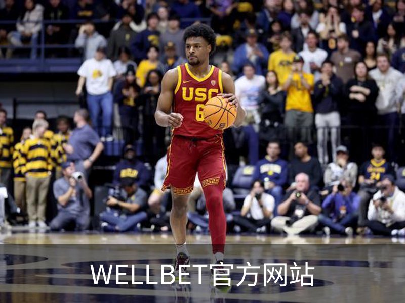WELLBET官方网站概况